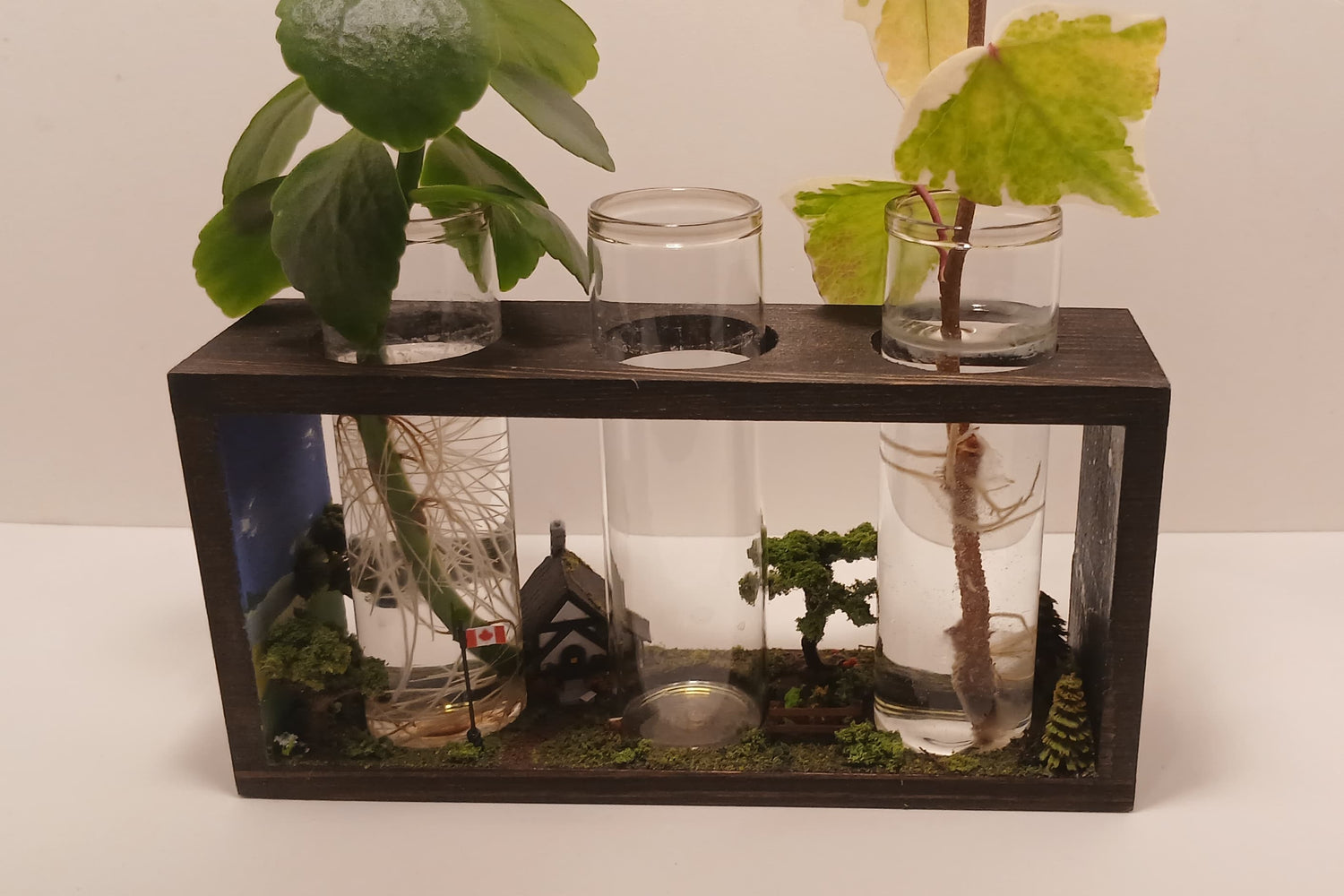 Handmade three glass tube wooden base propagation system. Miniature model chalet and garden scene with realistic trees and Canadian flag.  live plants